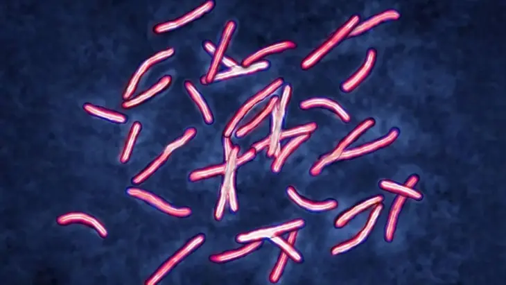 Superbug That Baffled Scientists for a Decade Solved by AI in Just Two Days